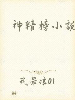 神精榜小说