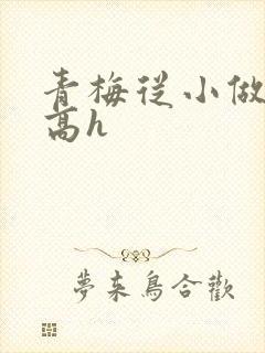 青梅从小做到大高h