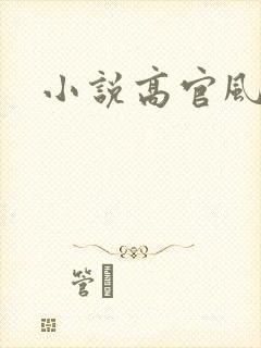 小说高官风流