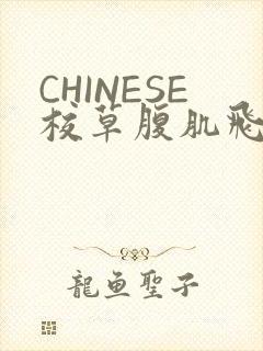 CHINESE校草腹肌飞机视频