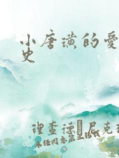 小唐璜的爱情历史