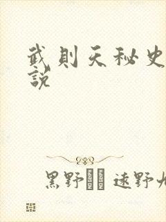 武则天秘史 小说