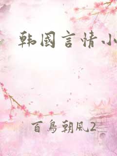 韩国言情小说