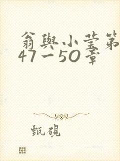 翁与小莹第十部47一5O章