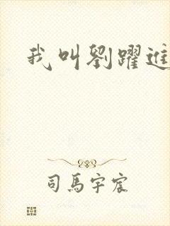 我叫刘跃进下载