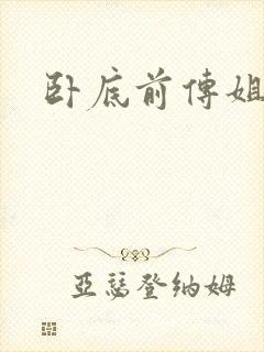 卧底前传姐妹篇