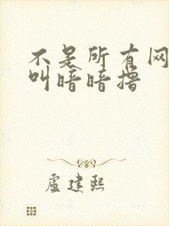 不是所有网站都叫暗暗撸