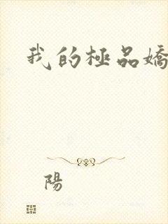 我的极品娇妻