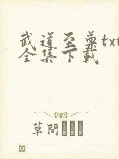 武道至尊txt全集下载