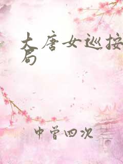 大唐女巡按大结局