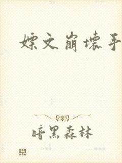 嫖文崩坏手册