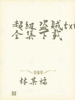 超级盗贼txt全集下载