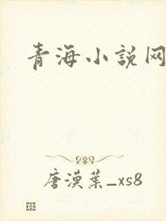 青海小说网