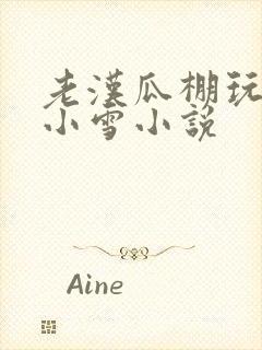 老汉瓜棚玩小丹小雪小说