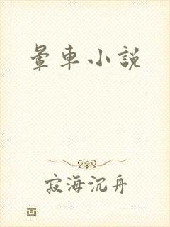 晕车小说