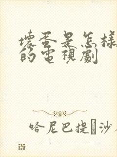 坏蛋是怎样炼成的电视剧