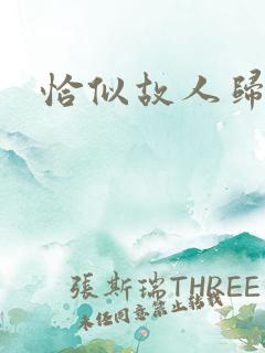 恰似故人归小说