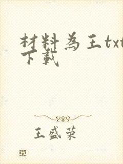 材料为王txt下载