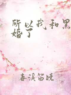 所以我和黑粉结婚了