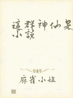 这群神仙是假的小说