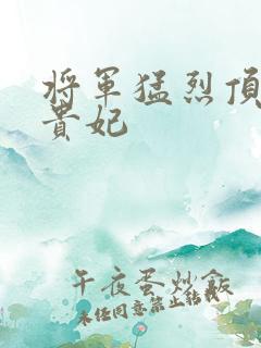 将军猛烈顶弄h贵妃