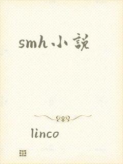 smh小说