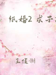 纸婚2 求子记