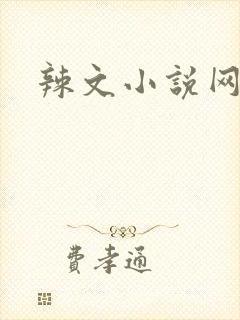 辣文小说网