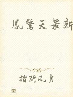 凤惊天最新章节