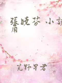 张晓芬 小说主角