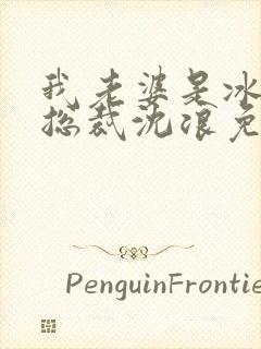 我老婆是冰山女总裁沈浪免费阅读