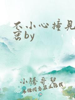 不小心撞见的秘密by