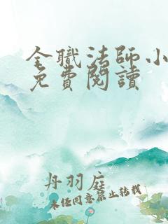 全职法师小说 免费阅读