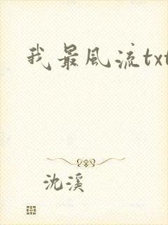 我最风流txt
