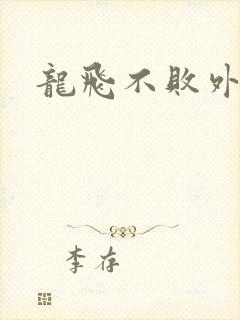 龙飞不败外传