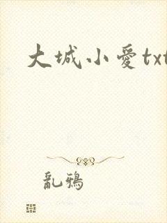 大城小爱txt