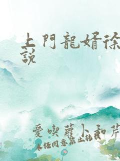 上门龙婿徐阳小说