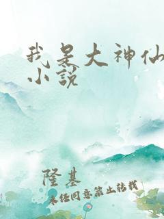 我是大神仙时江小说