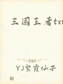 三国王者txt