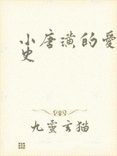 小唐璜的爱情历史