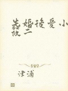 先婚后爱小说梦筱二