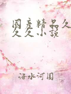 国产精品久久久久久小说