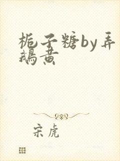 栀子糖by弄白鹅黄