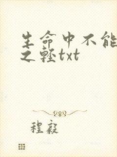 生命中不能承受之轻txt