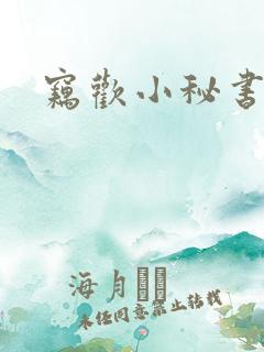 窃欢小秘书