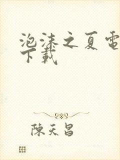 泡沫之夏电视剧下载