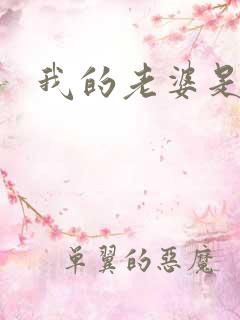 我的老婆是火影