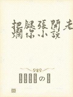 把腿张开老子臊烂你小说