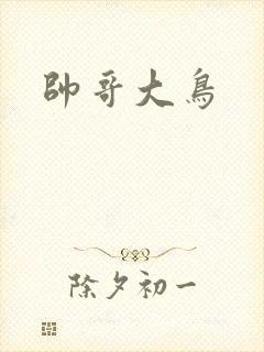 帅哥大鸟