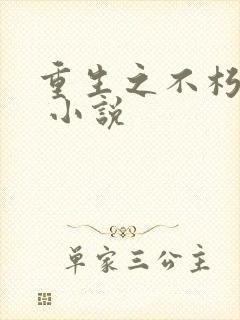 重生之不朽传奇 小说